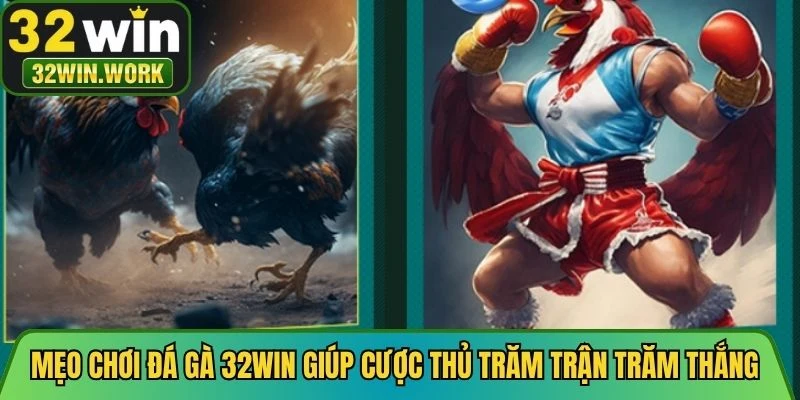 Mẹo chơi đá gà 32WIN giúp cược thủ trăm trận trăm thắng