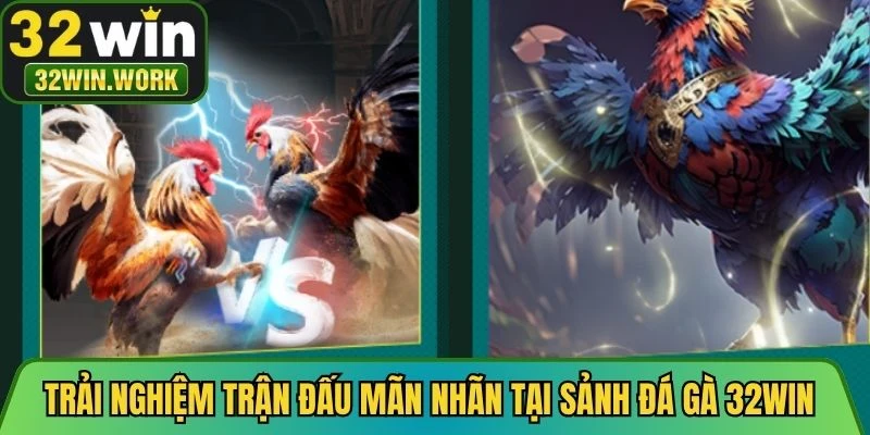 Trải nghiệm những trận đấu mãn nhãn tại sảnh đá gà 32WIN